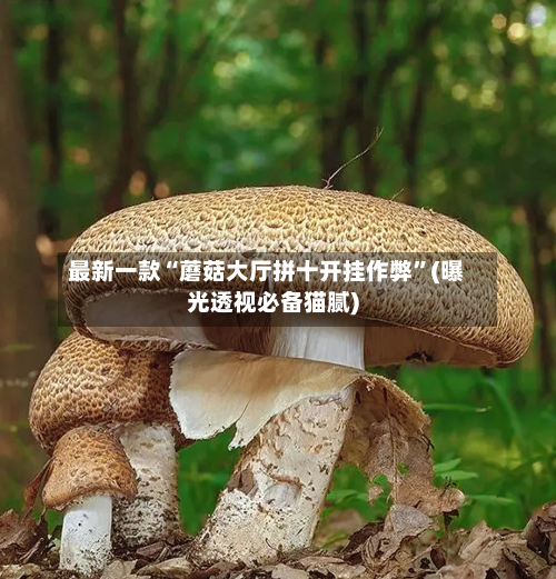 最新一款“蘑菇大厅拼十开挂作弊”(曝光透视必备猫腻)-第3张图片
