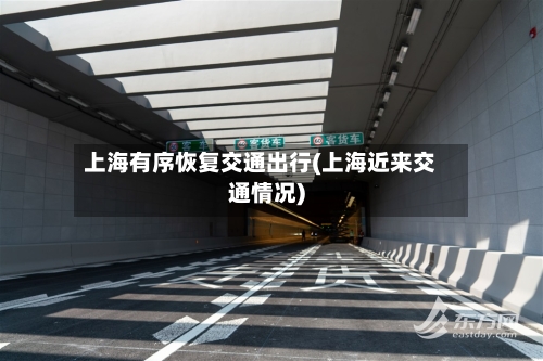 上海有序恢复交通出行(上海近来交通情况)