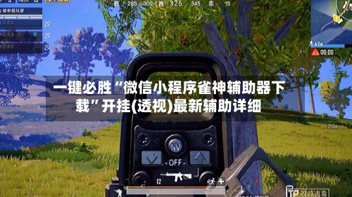 一键必胜“微信小程序雀神辅助器下载	”开挂(透视)最新辅助详细-第2张图片