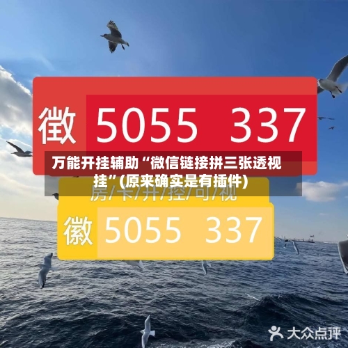 万能开挂辅助“微信链接拼三张透视挂	”(原来确实是有插件)-第2张图片