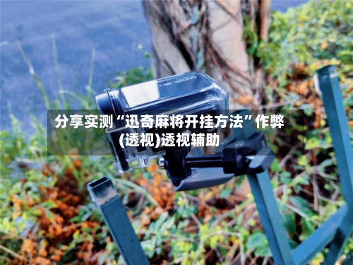 分享实测“迅奇麻将开挂方法”作弊(透视)透视辅助-第3张图片