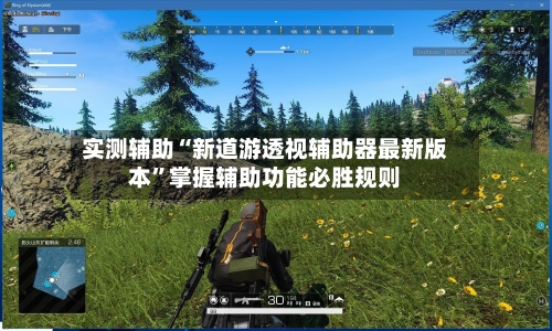 实测辅助“新道游透视辅助器最新版本	”掌握辅助功能必胜规则-第2张图片
