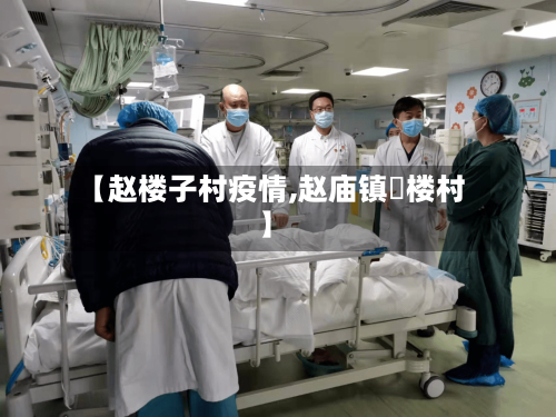 【赵楼子村疫情,赵庙镇佀楼村】