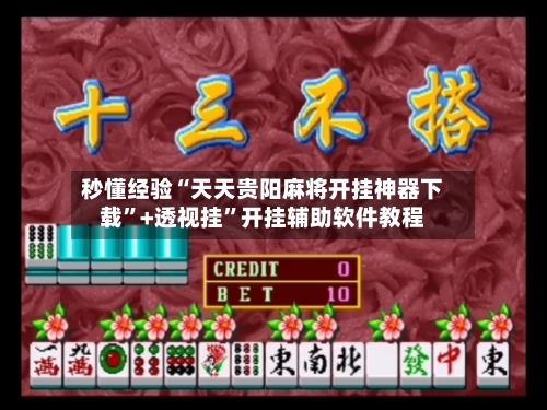 秒懂经验“天天贵阳麻将开挂神器下载”+透视挂”开挂辅助软件教程-第2张图片