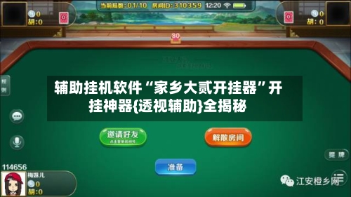 辅助挂机软件“家乡大贰开挂器	”开挂神器{透视辅助}全揭秘-第2张图片
