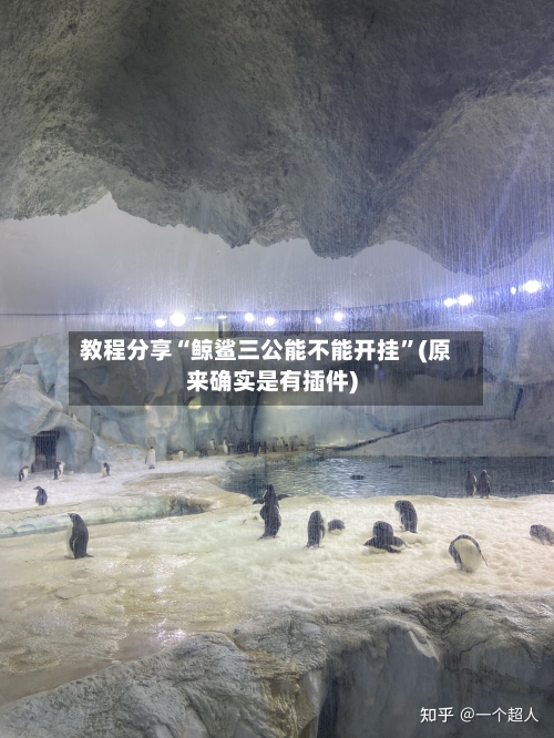 教程分享“鲸鲨三公能不能开挂”(原来确实是有插件)-第2张图片