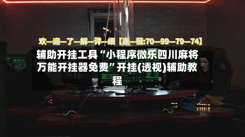 辅助开挂工具“小程序微乐四川麻将万能开挂器免费”开挂(透视)辅助教程-第2张图片