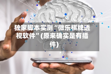 独家脚本实测“微乐棋牌透视软件”(原来确实是有插件)-第3张图片