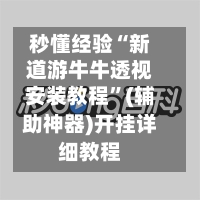 秒懂经验“新道游牛牛透视安装教程	”(辅助神器)开挂详细教程-第2张图片