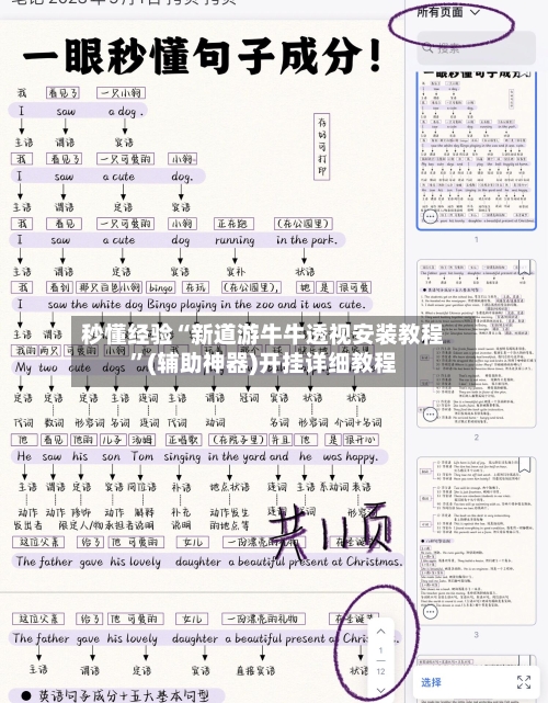 秒懂经验“新道游牛牛透视安装教程”(辅助神器)开挂详细教程-第3张图片