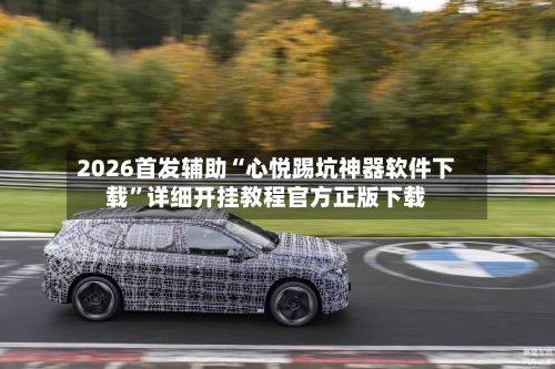 2026首发辅助“心悦踢坑神器软件下载”详细开挂教程官方正版下载-第2张图片