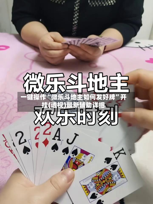 一键操作“微乐斗地主如何发好牌”开挂(透视)最新辅助详细-第2张图片