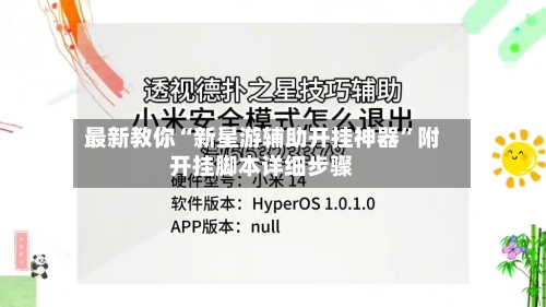 最新教你“新星游辅助开挂神器”附开挂脚本详细步骤-第2张图片