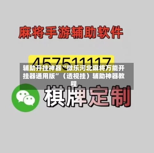 辅助开挂神器“微乐河北麻将万能开挂器通用版”（透视挂）辅助神器教程-第3张图片