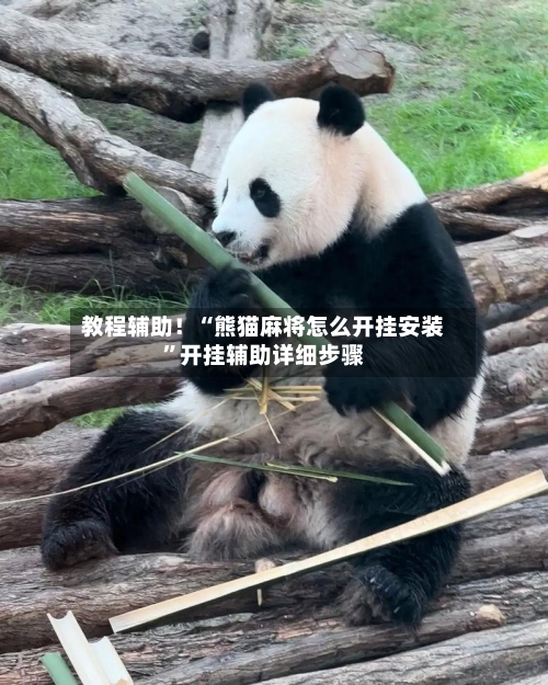 教程辅助！“熊猫麻将怎么开挂安装”开挂辅助详细步骤-第2张图片