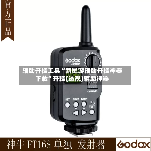 辅助开挂工具“新星游辅助开挂神器下载	”开挂(透视)辅助神器-第2张图片