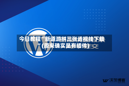 今日教程“新道游拼三张透视挂下载	”(原来确实是有插件)-第2张图片