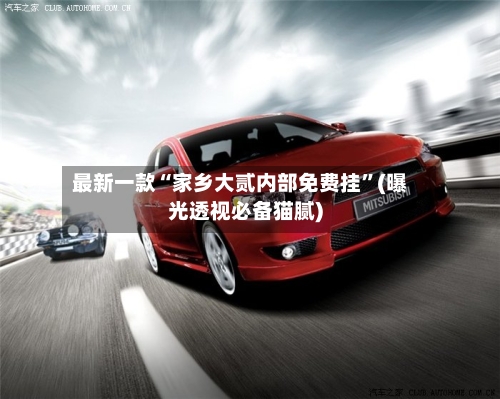 最新一款“家乡大贰内部免费挂”(曝光透视必备猫腻)-第2张图片