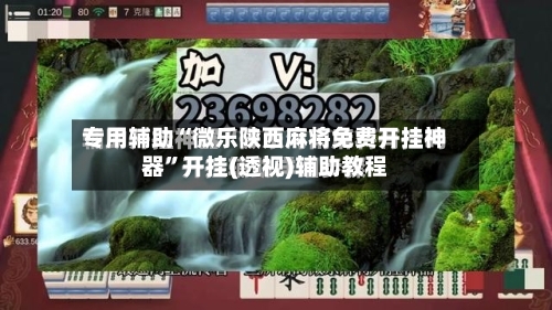 专用辅助“微乐陕西麻将免费开挂神器”开挂(透视)辅助教程-第2张图片