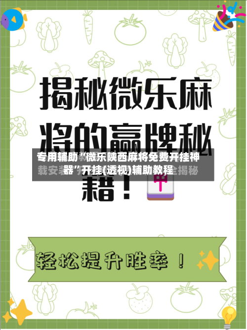专用辅助“微乐陕西麻将免费开挂神器”开挂(透视)辅助教程-第3张图片