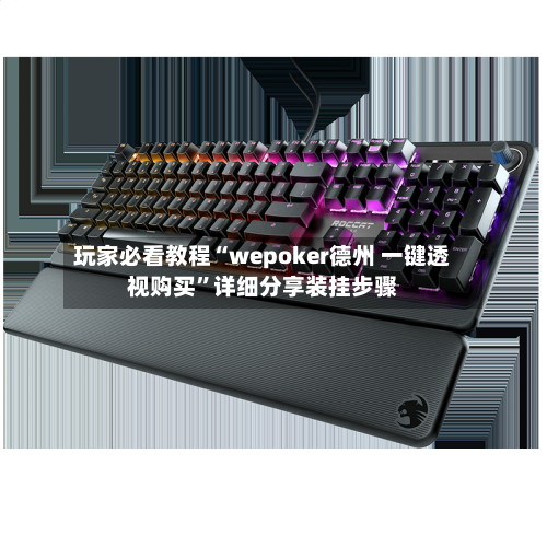 玩家必看教程“wepoker德州 一键透视购买”详细分享装挂步骤-第3张图片