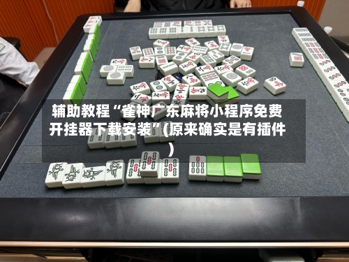 辅助教程“雀神广东麻将小程序免费开挂器下载安装”(原来确实是有插件)-第3张图片