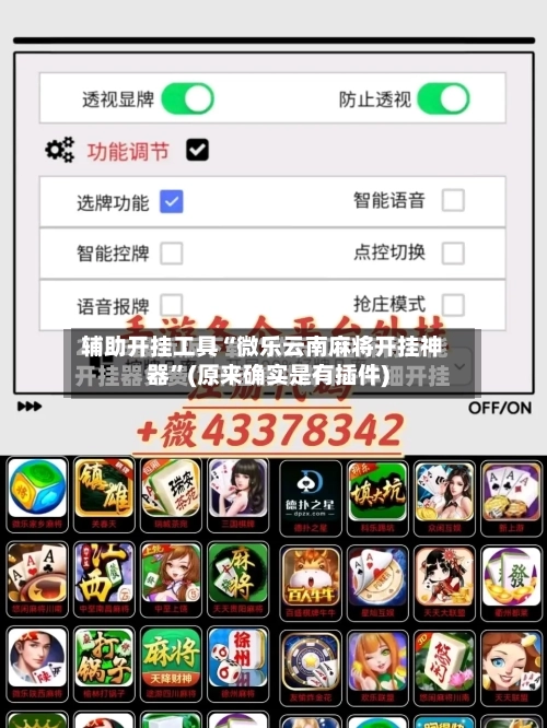辅助开挂工具“微乐云南麻将开挂神器”(原来确实是有插件)