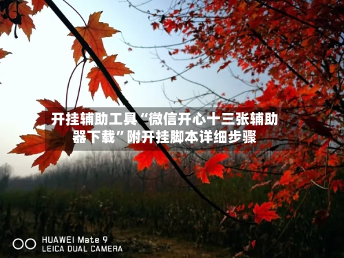 开挂辅助工具“微信开心十三张辅助器下载	”附开挂脚本详细步骤-第2张图片