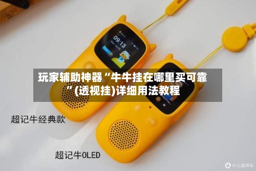 玩家辅助神器“牛牛挂在哪里买可靠”(透视挂)详细用法教程-第2张图片