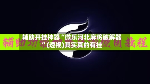 辅助开挂神器“微乐河北麻将破解器”(透视)其实真的有挂-第3张图片