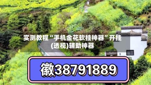 实测教程“手机金花软挂神器”开挂(透视)辅助神器-第3张图片