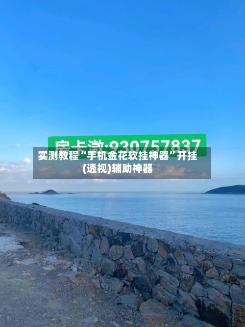 实测教程“手机金花软挂神器”开挂(透视)辅助神器-第2张图片
