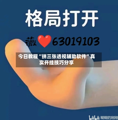 今日教程“拼三张透视辅助软件	”真实开挂技巧分享-第2张图片