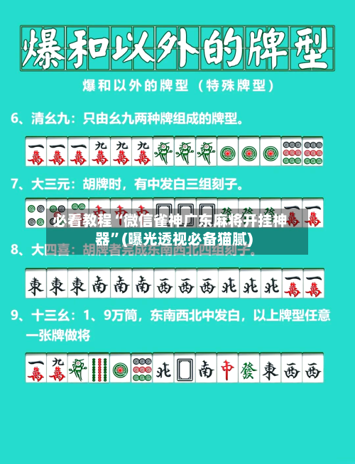 必看教程“微信雀神广东麻将开挂神器”(曝光透视必备猫腻)-第3张图片