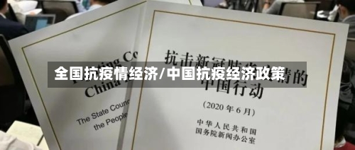 全国抗疫情经济/中国抗疫经济政策