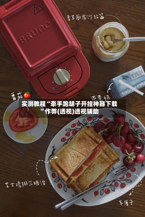 实测教程“牵手跑胡子开挂神器下载”作弊(透视)透视辅助-第3张图片