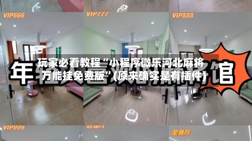 玩家必看教程“小程序微乐河北麻将万能挂免费版	”(原来确实是有插件)-第2张图片