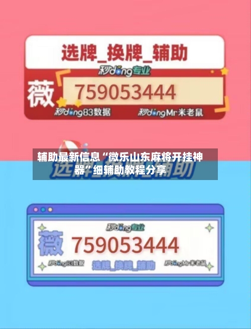 辅助最新信息“微乐山东麻将开挂神器	”细辅助教程分享-第2张图片