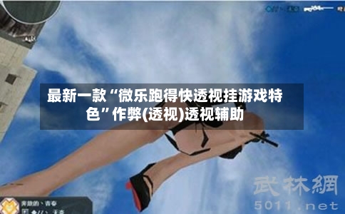 最新一款“微乐跑得快透视挂游戏特色”作弊(透视)透视辅助-第2张图片