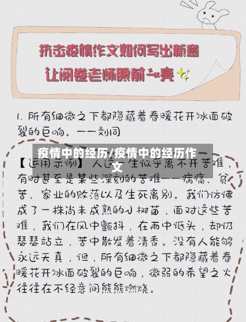 疫情中的经历/疫情中的经历作文-第2张图片