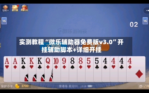 实测教程“微乐辅助器免费版v3.0”开挂辅助脚本+详细开挂-第3张图片