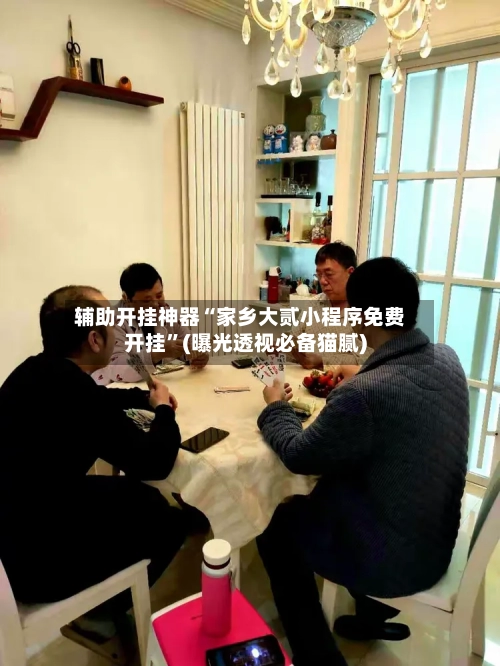 辅助开挂神器“家乡大贰小程序免费开挂”(曝光透视必备猫腻)