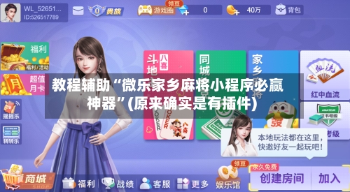 教程辅助“微乐家乡麻将小程序必赢神器”(原来确实是有插件)-第2张图片