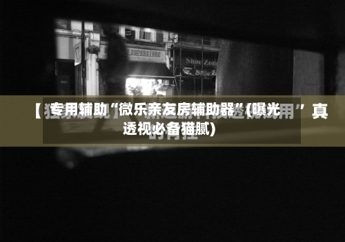 专用辅助“微乐亲友房辅助器	”(曝光透视必备猫腻)-第2张图片