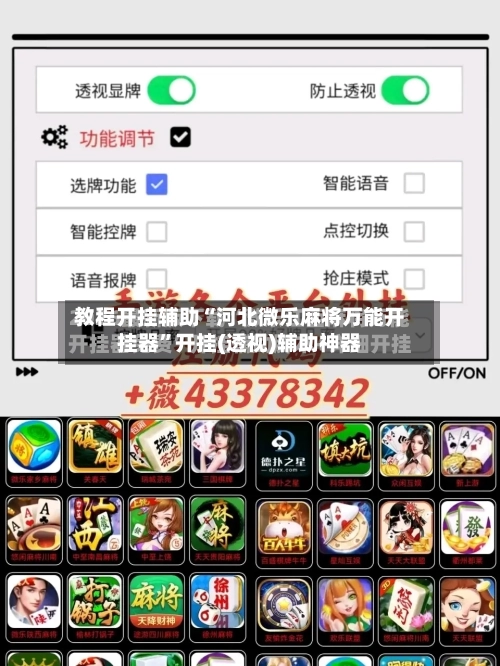 教程开挂辅助“河北微乐麻将万能开挂器	”开挂(透视)辅助神器-第2张图片