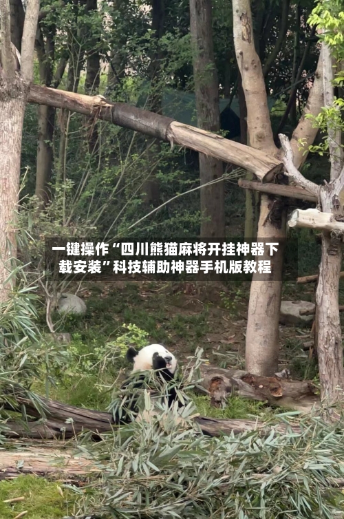 一键操作“四川熊猫麻将开挂神器下载安装	”科技辅助神器手机版教程-第2张图片