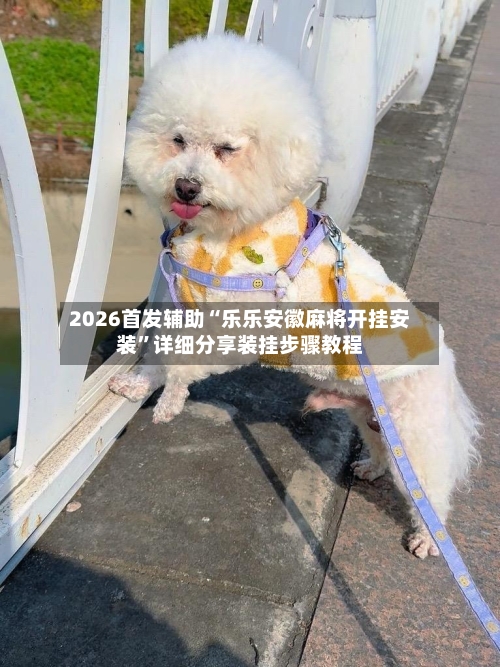 2026首发辅助“乐乐安徽麻将开挂安装”详细分享装挂步骤教程-第3张图片