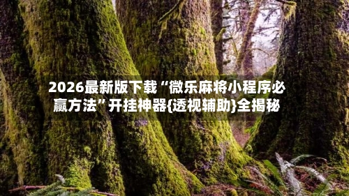 2026最新版下载“微乐麻将小程序必赢方法”开挂神器{透视辅助}全揭秘-第2张图片