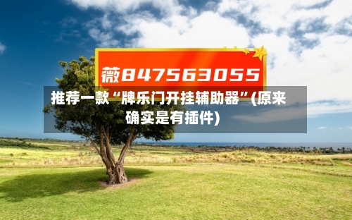 推荐一款“牌乐门开挂辅助器”(原来确实是有插件)-第3张图片