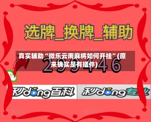 真实辅助“微乐云南麻将如何开挂	”(原来确实是有插件)-第2张图片